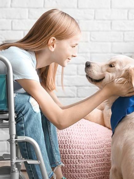 Maestría Internacional en Monitor de Terapia Asistida Con Perros