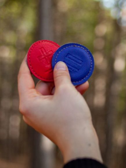 Maestría Internacional en Biomagnetismo + Maestría Internacional en Acupuntura – Doble Titulación –