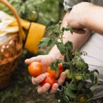 Nutrición holística : qué es, principios y enfoque integral